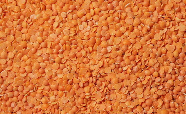 Vegetarian vegan protein red lentils